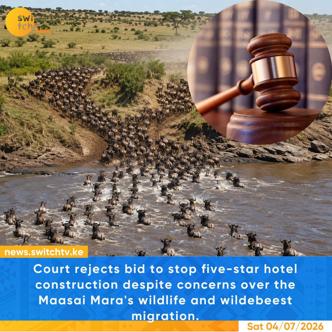 switchtvkenya's tweet photo. The court has rejected a petition seeking to stop the construction of a five-star hotel in the Maasai Mara Reserve. Petitioners argued that the project could harm wildlife habitats and disrupt the world-famous annual wildebeest migration, but the court allowed the development to proceed.

#MaasaiMara #WildebeestMigration #Conservation #KenyaNews #Environment