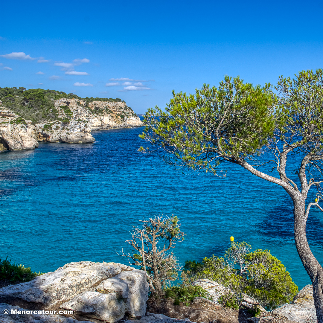MENORCATOUR's tweet photo. 🌞 Playa de Macarella 🏖️🌊

🔗 Más info: https://t.co/Q2p1HM32Al

👉 Síguenos en @MENORCATOUR
https://t.co/7b3UKg6YOQ

#menorca #menorcaparadise #menorca_eyes #menorcalove #macarella #menorcatour #playas #playasmenorca #macarella #playasvírgenes https://t.co/pU0olgycso