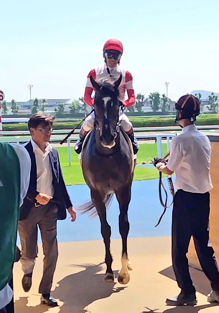 akachamp5972's tweet photo. 函館８Ｒはダノンヒストリーが人気に応えて圧勝🏇💨🏇🏇

「着差が示す通り、力が違い過ぎました。洋芝適性や距離適性があることも分かったと思います」と浜中騎手。
デビュー戦でアウダーシアやグリーンエナジーを負かした素質馬が力を見せつけました👏

#函館８Ｒ
#ダノンヒストリー
#浜中俊
#堀厩舎 https://t.co/1w1SOyvlEP