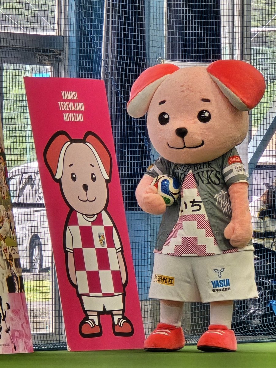 shiii_tege's tweet photo. ソフトバンクホークスユニのジャーロくん可愛かった〜！！！
今日のイベント来れてよかった😭🤍
#テゲバ https://t.co/vvDrJDS9Lt