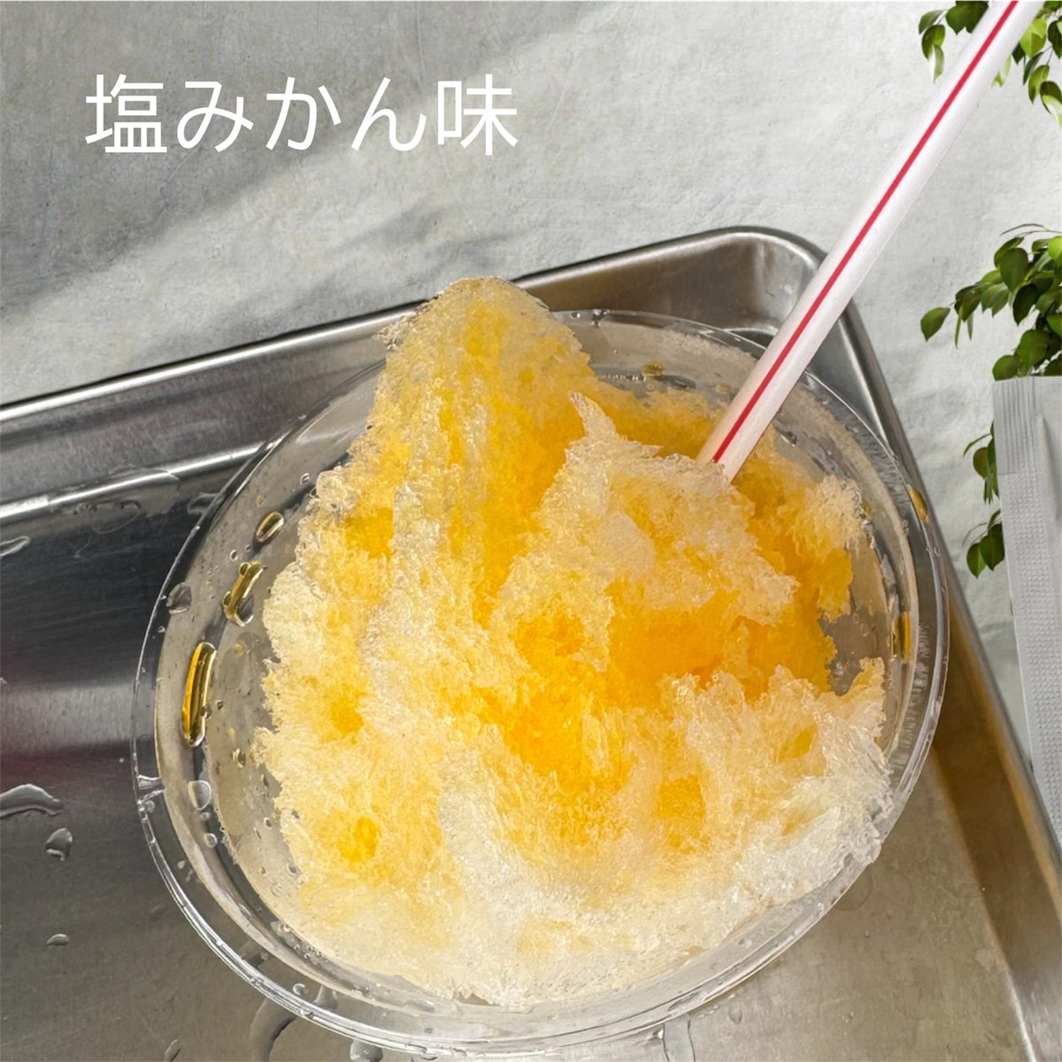 おかげさまでお天気も回復し、 今日は絶好のかき氷日和になりました