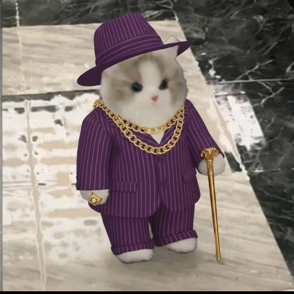 memeson_SOL's tweet photo. Either you buy $Miu or you’re both getting adopted by the pimp cat. @slingoorio @artsch00lreject https://t.co/Pma91DLfbV