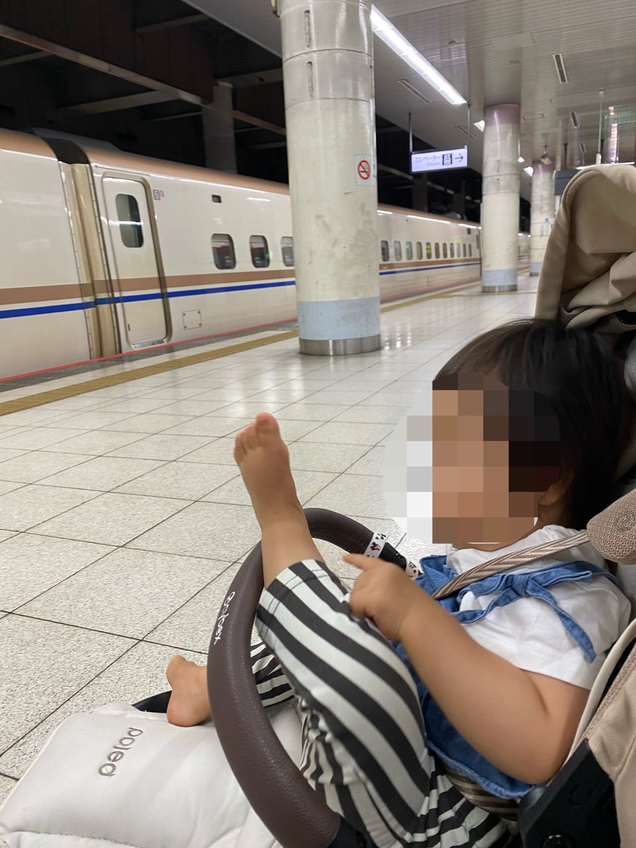 2Mitsu77n1's tweet photo. 今日は上野駅でワンオペ新幹線見学してきた🚄
はやぶさこまちの連結が見られたり、色々な種類が見られて2人とも新幹線に手を振っては忙しそうだった👋
清掃の方からシールも貰い嬉しそうな兄☺️
新幹線を見ながらおにぎりやサンドイッチでお昼も食べて滞在1時間位かな🤔ゆっくり見られて最高でした🚄 https://t.co/fhp13Oo8UL