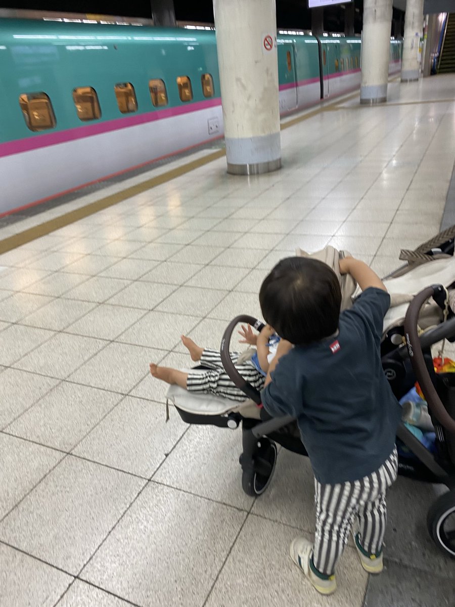 2Mitsu77n1's tweet photo. 今日は上野駅でワンオペ新幹線見学してきた🚄
はやぶさこまちの連結が見られたり、色々な種類が見られて2人とも新幹線に手を振っては忙しそうだった👋
清掃の方からシールも貰い嬉しそうな兄☺️
新幹線を見ながらおにぎりやサンドイッチでお昼も食べて滞在1時間位かな🤔ゆっくり見られて最高でした🚄 https://t.co/fhp13Oo8UL