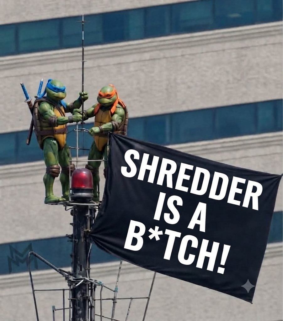 NinjaTurtleLair's tweet photo. #TurtleLair https://t.co/mzVlIz4EV7