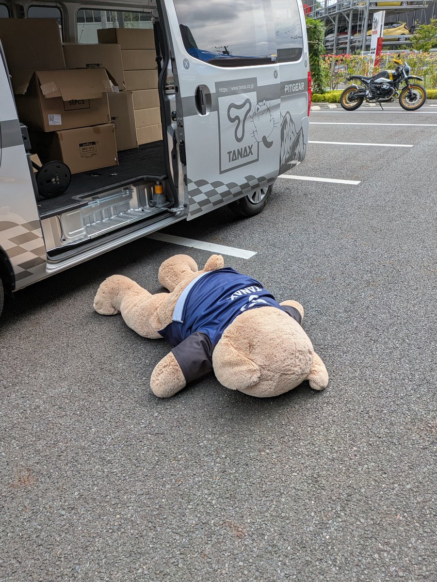 tanaxsales's tweet photo. ズッコケてるし🧸 https://t.co/EVCHRDqbV1