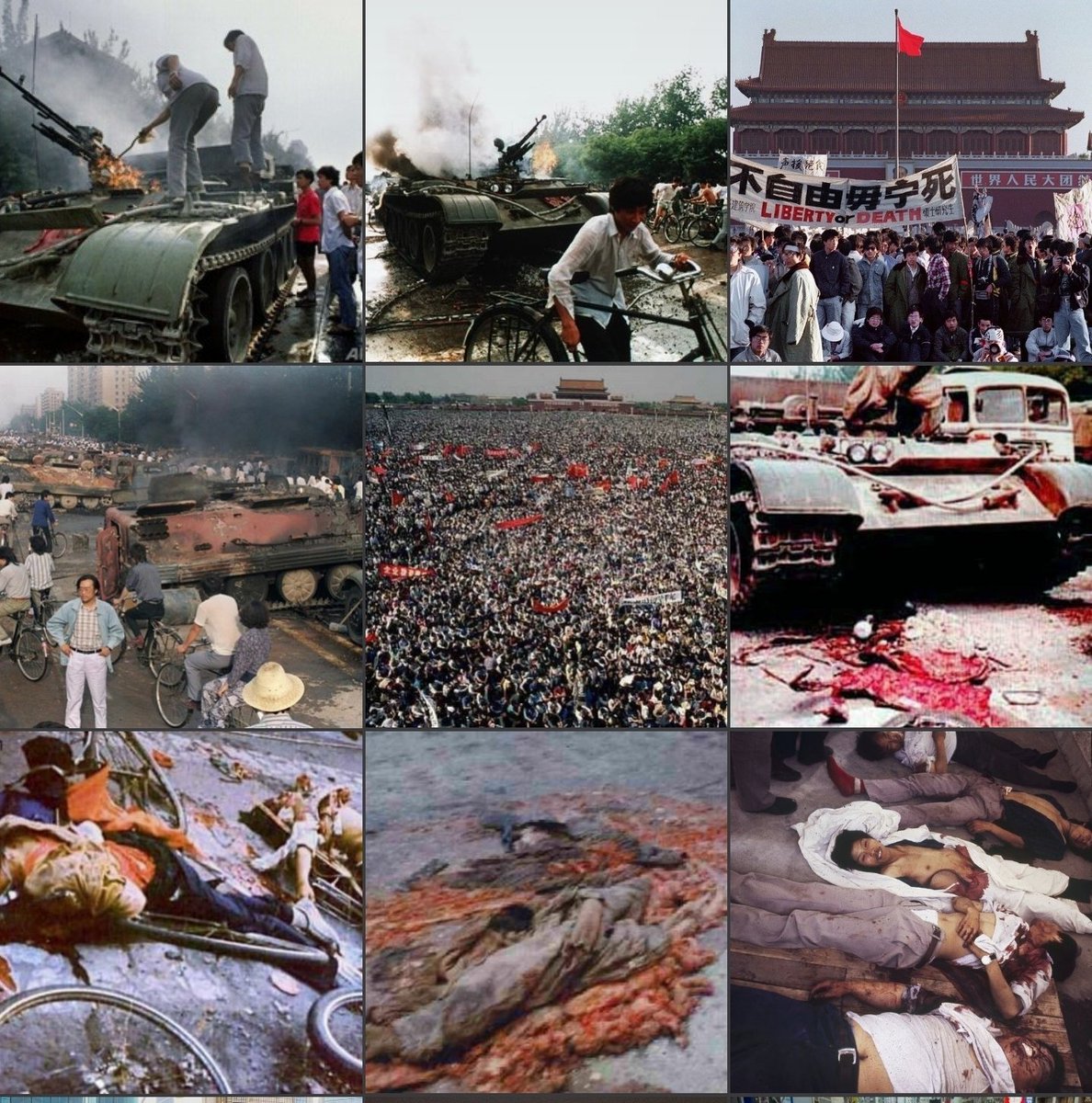 𝕾𝖙𝖎𝖌𝖒𝖆𝖙𝖆🇺🇸🇮🇱🇰🇷🇯🇵🇵🇭🇹🇼🇺🇦🇬🇧🇪🇺 tweet media
