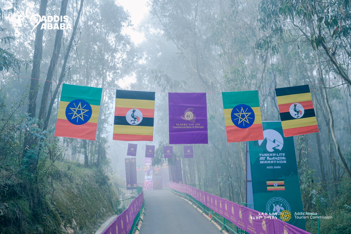 Visitaddis_et's tweet photo. Entoto Park CBE Run is buzzing with excitement the fog can't stop!
#VisitAddisAbaba #EntotoParkCBERun #AddisAbaba #RunTogether https://t.co/79QJzrwjm8
