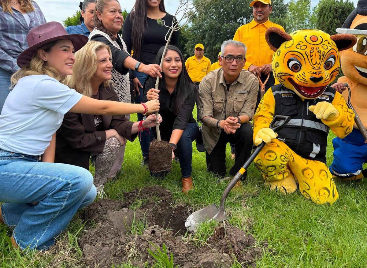 marcelacm91's tweet photo. Participé en la jornada de reforestación Adopta un Árbol de SICOM
Como Vocal Titular del Voluntariado de SICOM agradezco la confianza de nuestra directora general Natalie Hoyos
Siguiendo la visión del gobernador @armentapuebla_ 
#PorAmorAPuebla seguimos sembrando un mejor futuro https://t.co/puJodzICGG
