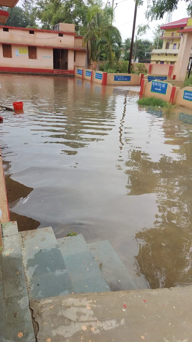 aswinidash1997's tweet photo. କେବେ ସୁଧୁରିବ ବିଜେପୁର ଗୋଷ୍ଠୀ ସ୍ୱାସ୍ଥ୍ୟ କେନ୍ଦ୍ରର ଅବସ୍ଥା ସବୁ ଦେଖ୍, ଜାଣି ଧୃତରାଷ୍ଟ୍ର ସାଜିଛି ବିଜେପୁର ଏନ୍‌ଏସି ଅନେକ ଅସୁବିଧା ର ସମ୍ମୁଖୀନ ହେଉଛନ୍ତି। @NacBijepur @DMBargarh @SRC_Odisha @_anugarg  @MohanMOdisha @CMO_Odisha ଏଥି ପ୍ରତି ପ୍ରଶାସନ ଦୃଷ୍ଟି ଦେବାକୁ ବିନମ୍ର ଅନୁରୋଧ। https://t.co/7kv9CrzvhK