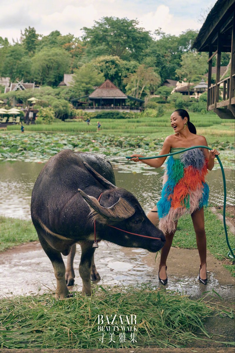 centlookbook's tweet photo. #QuYing 瞿颖 for Harper’s Bazaar China Beauty Walk, July 2026 Issue
Photographed by Yin Chao
📍Chiang Mai, Thailand
🔗 https://t.co/Dd09kj72BR https://t.co/5hva6akScI