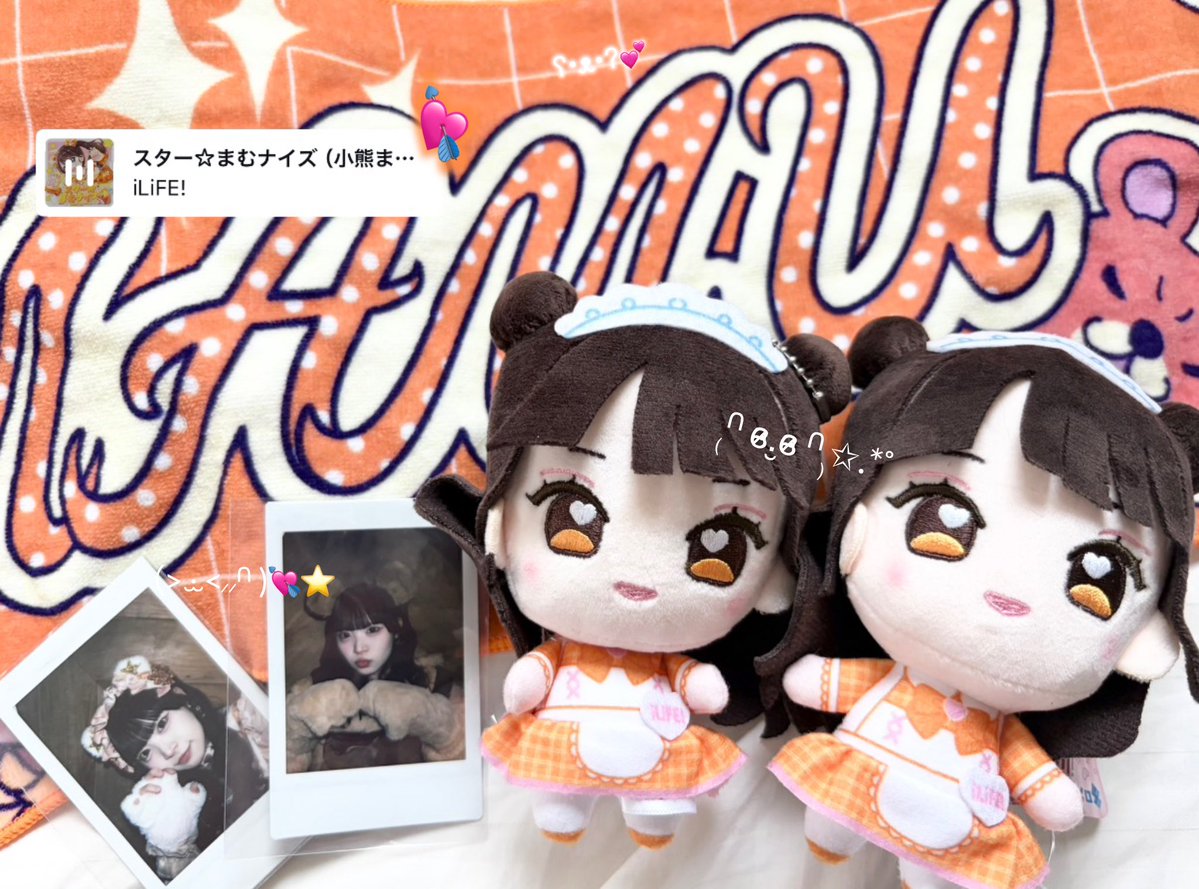 lfmkg_'s tweet photo. 大切にします(՞ ܸ.ˬ.ܸ՞)”♡
 #まむにくまっちゃう https://t.co/nrpyzw0IMQ
