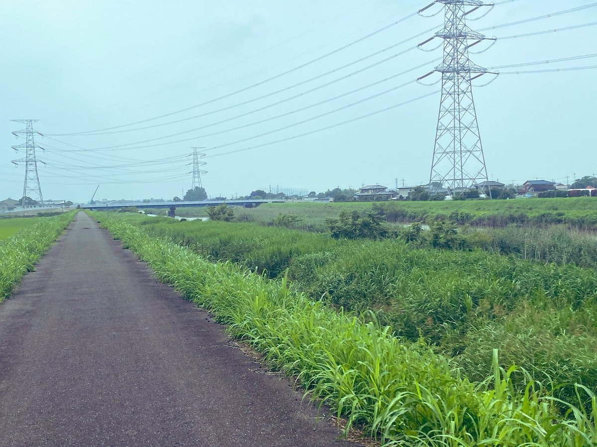 JOKA_08's tweet photo. 普段行かないとこ行ったら降りるところなくてどうすんのこれってなってるところ_(┐「ε:)_ https://t.co/bXBXSPDy5B
