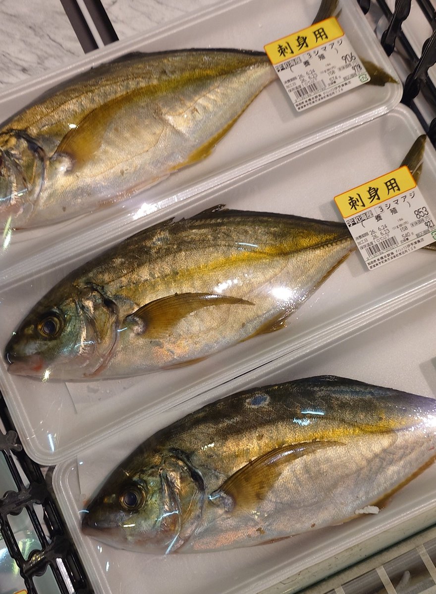 CRF零虎 高本 大輝 (亜侍闘のT君) (@aztquattro) / Posts / X