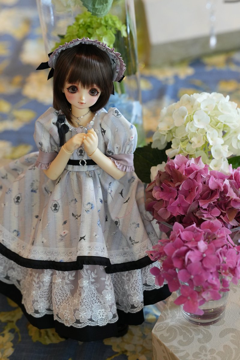 tera_doll's tweet photo. 降りそうで降らない微妙なお空模様。
今の内に次の目的地へ移動です。

#SDMモモ https://t.co/VTvxdrSldw