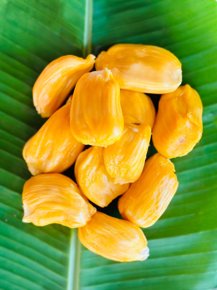 KeralaTourism's tweet photo. Jack of all fruits!

#JackfruitDay #KeralaJackfruit #KeralaTourism https://t.co/21Z1cQTwsV