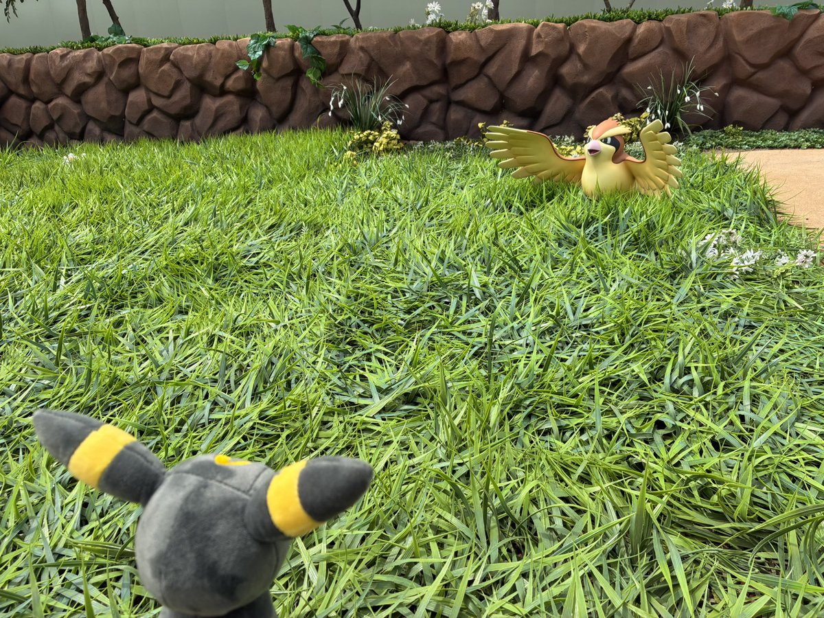 Hawk99537083's tweet photo. ゲームボーイ越しに見てた景色すぎてなんか泣けてくる
#ポケパーク https://t.co/kLcPyy2Eo1