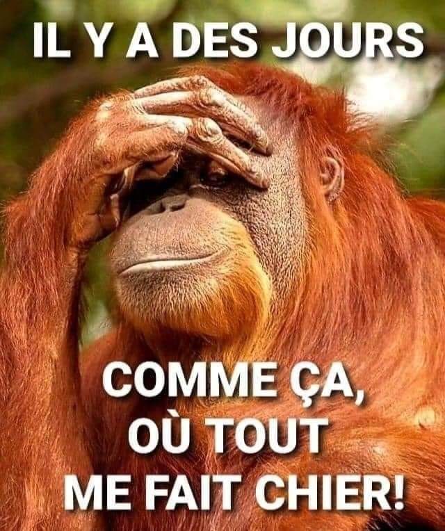 t_notrev's tweet photo. @Lesinfirmieres1 On aura tout vu https://t.co/aMrX2Cnexo