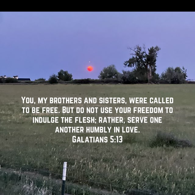 ChristRescued's tweet photo. Photo credits go to my beautiful friend Beth ~ "Strawberry Moon Rising" ❤️ https://t.co/4p7QxQSSMA
