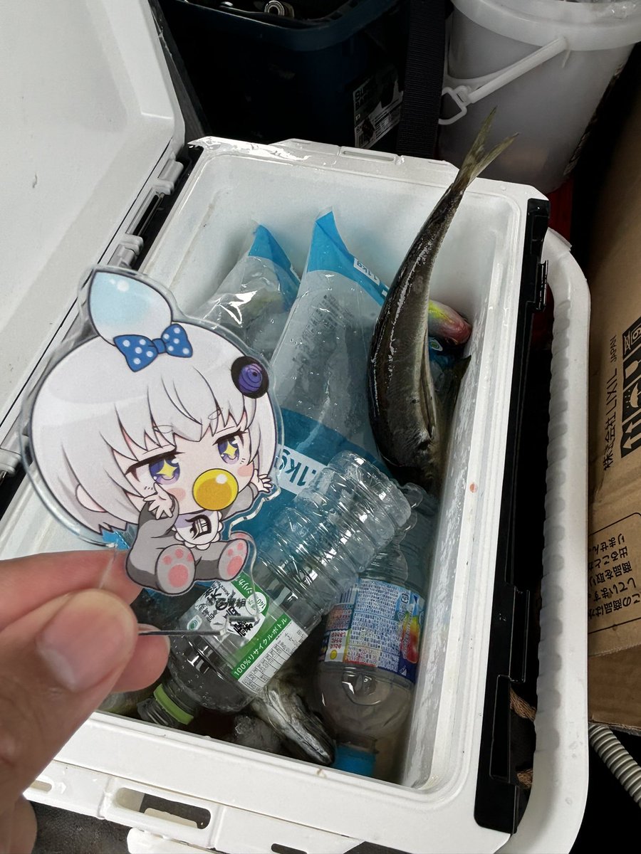 Saika_ogy's tweet photo. https://t.co/GEqXIgZuDY