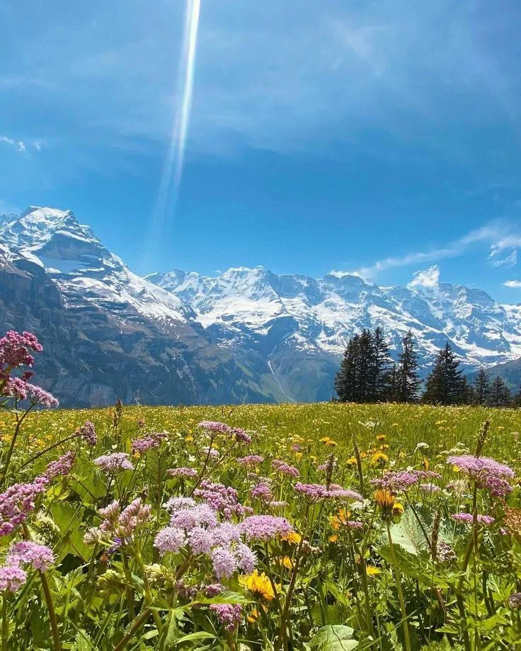 earthwhisperss's tweet photo. Nature Therapy 🌟🍀 https://t.co/e05ck7YOWv