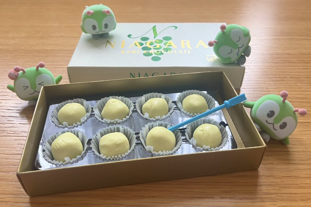 tabimakura50's tweet photo. みんくるに似てコロコロしてるね！
ルタオのナイアガラチョコ大好き💚 https://t.co/80mbpbkt9M