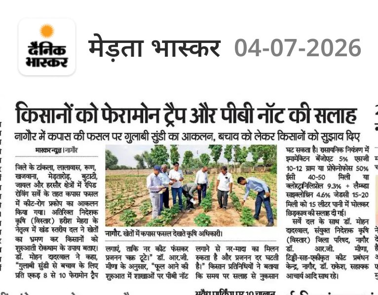 RGMEENA20's tweet photo. A Joint Rapid Roving Survey on the cotton crop was conducted by the Locust cum Integrated Pest Management Centre (LCIPMC), Nagaur in collaboration with the Department of Agriculture, Government of Rajasthan, Nagaur. #AgricultureGoI #PPA #lcipmcnagaur https://t.co/jvWMdp77wX