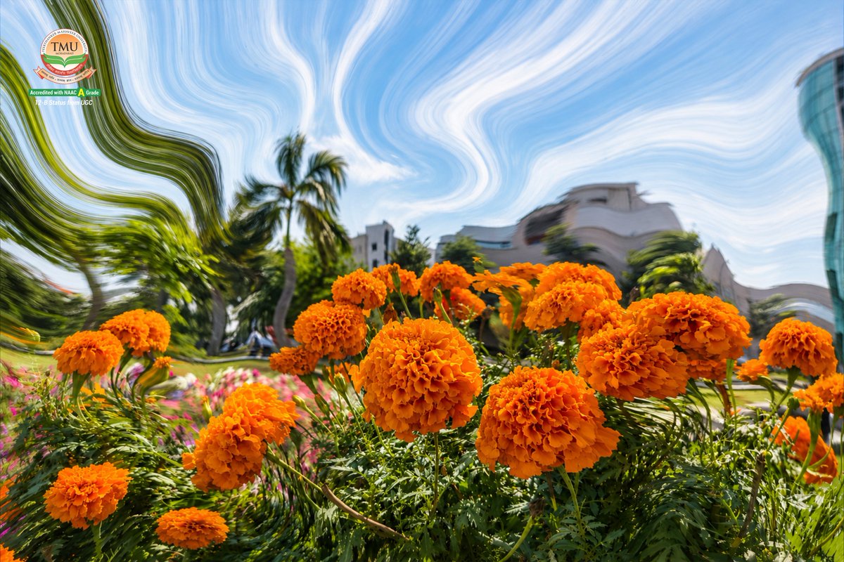 Tmumbd's tweet photo. Our campus looks even more stunning as the Pixel Stretch trend takes over!
.
Explore each transformation and let us know - which slide impressed you the most?
.
#pixelstretch #pixelartist #trendingnow #bestprivateuniversity #moradabad https://t.co/FvThacbMiM