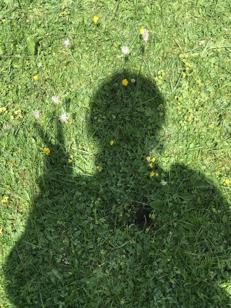 bridgetjac2309's tweet photo. GM and Happy Weekend Xfam

Grass should be touched today. Who's in? https://t.co/MReijuO9mn