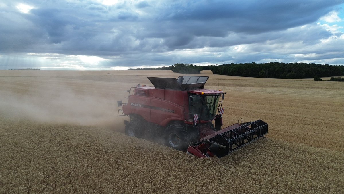 OlivierCOSTE2's tweet photo. Merci @BONNIN1402,de ces très belles 📸 dans #VisMaVieChezUnAgriculteur 🚜🌾.
#Moisson2026 #Bourgogne #Yonne
#CeuxQuiFontLaMoisson #Moisson
#AxialFlow #CaseIh #FrAgTw https://t.co/DtJab1AD8S
