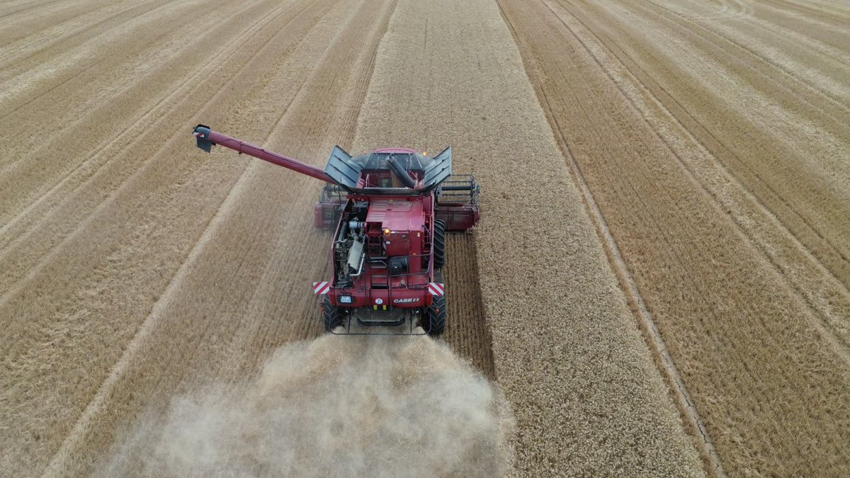 OlivierCOSTE2's tweet photo. Merci @BONNIN1402,de ces très belles 📸 dans #VisMaVieChezUnAgriculteur 🚜🌾.
#Moisson2026 #Bourgogne #Yonne
#CeuxQuiFontLaMoisson #Moisson
#AxialFlow #CaseIh #FrAgTw https://t.co/DtJab1AD8S