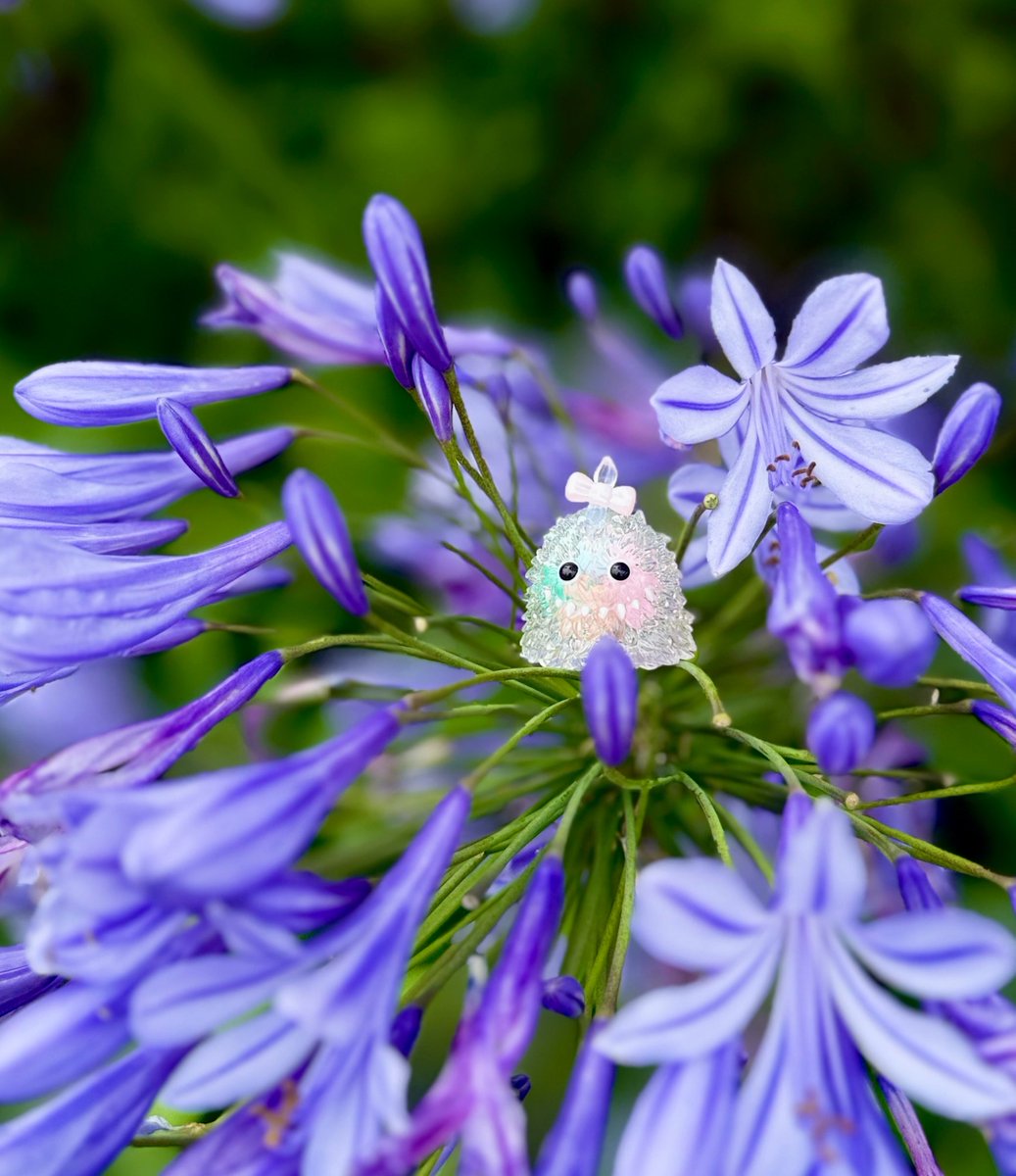 lenzjp's tweet photo. 🦋𓂃𓈒𓏸 https://t.co/g9vU9CPwPQ