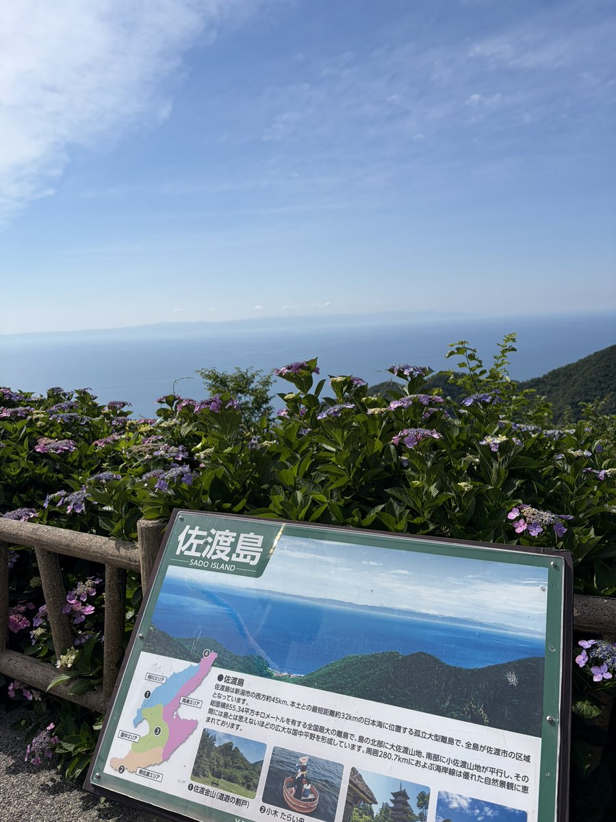 mitugo_'s tweet photo. なぅwww https://t.co/B3bkWisaZm