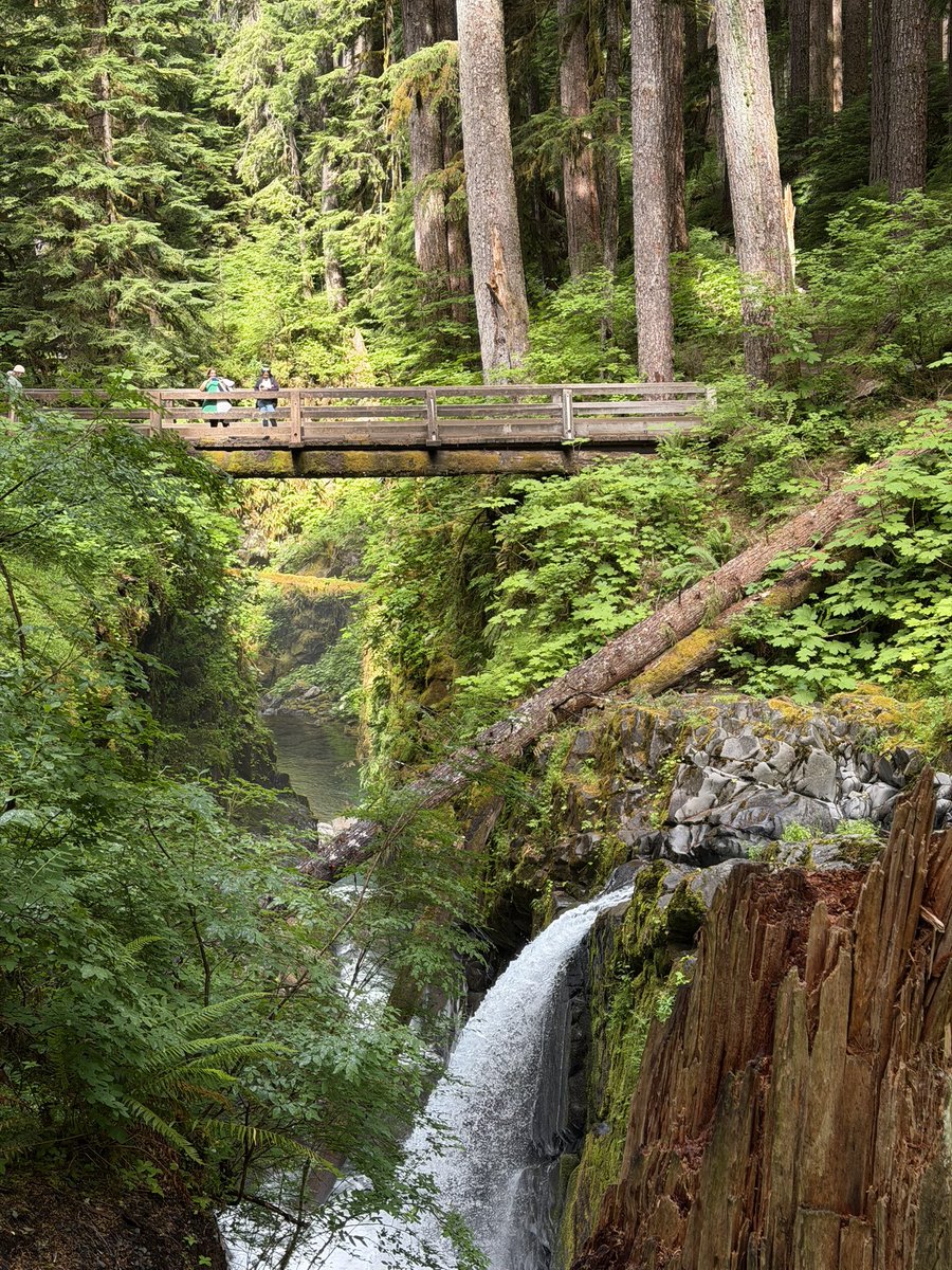 bogarcram's tweet photo. Olympic NP, WA. https://t.co/jteOBBSlzw
