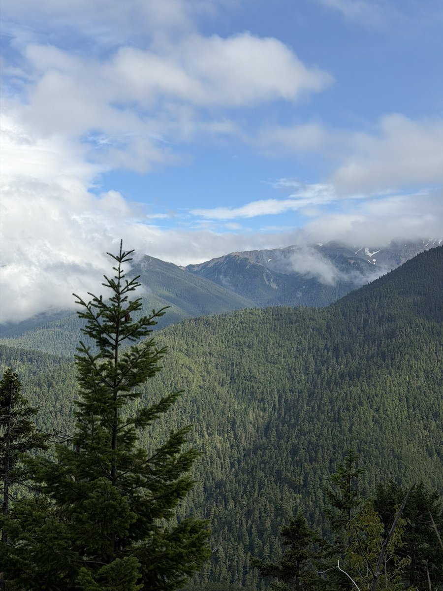 bogarcram's tweet photo. Olympic NP, WA. https://t.co/jteOBBSlzw