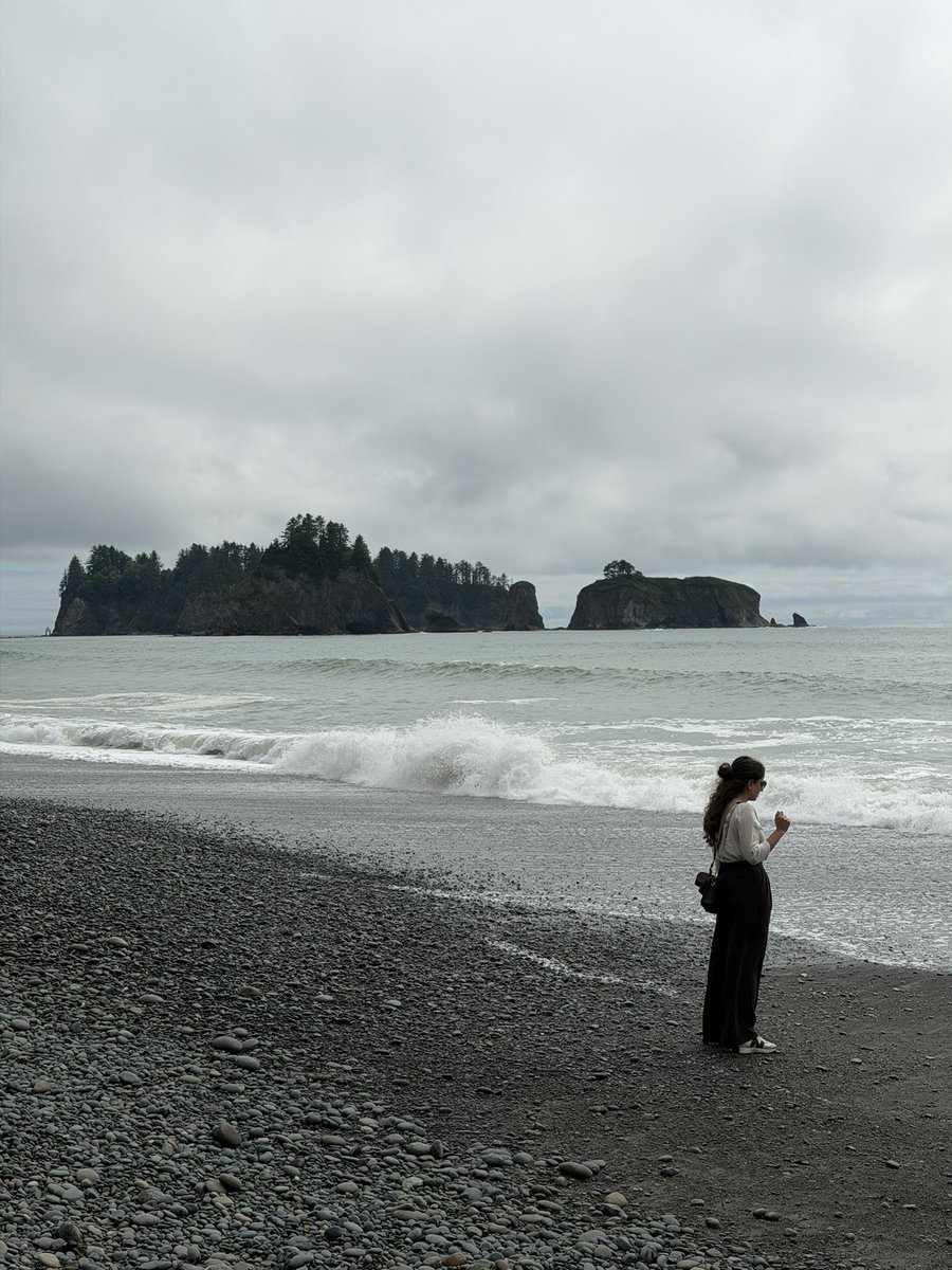 bogarcram's tweet photo. Olympic NP, WA. https://t.co/jteOBBSlzw