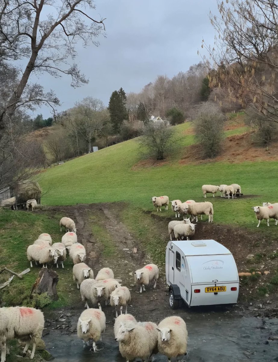TheEnglishCarav's tweet photo. Morning Campers!... ❤️❤️❤️
#morningcampers #haveagreatday #lotsoflove #caravanlove #friendship #love #caravanfamily #smile #behappy https://t.co/SKe1r47rze