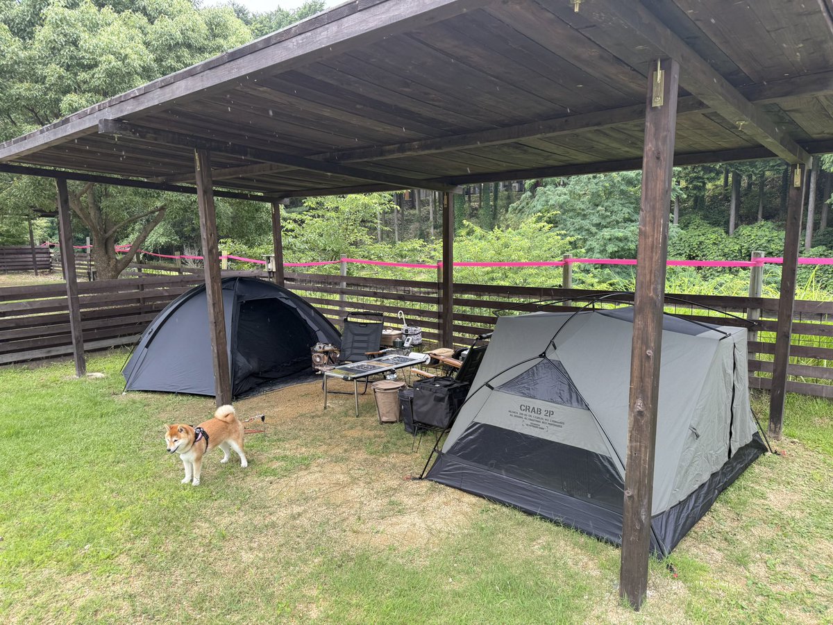 sin819camp's tweet photo. ここをキャンプ地とする！なんで雨なの・・・予約した時は晴れだったんや☔️😭
超デカいドッグランサイトの、東屋の下だけで完結させるスタイル https://t.co/2XPfaXCMbq