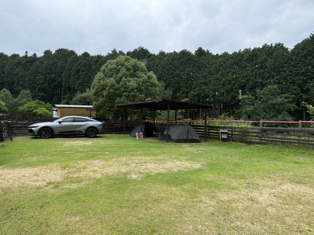 sin819camp's tweet photo. ここをキャンプ地とする！なんで雨なの・・・予約した時は晴れだったんや☔️😭
超デカいドッグランサイトの、東屋の下だけで完結させるスタイル https://t.co/2XPfaXCMbq