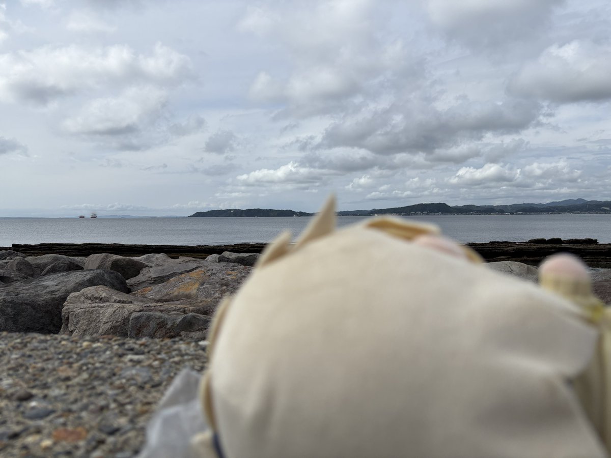 Ma_ASRO_cl's tweet photo. 今日の観光は超ゆったりスケジュールなので、ひたすら海沿いを歩いてる
人も居ないからちょっと寝転がって休憩してみると、波の音がこちらを貫く高度と角度で届いてきて、新鮮だった

海沿いで添い寝とかするシチュ(?)の動画をもし作ることがあれば、参考になる経験かもしれない https://t.co/IduF7ia2y6