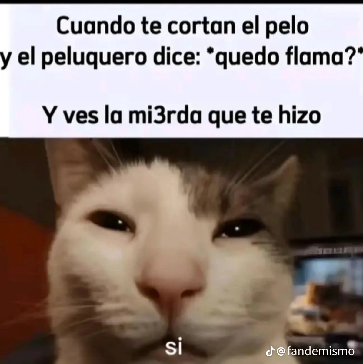 ZeelHann's tweet photo. @sunaisx Pero ponle Shitpost para que amarre https://t.co/DbfHdQBVbt