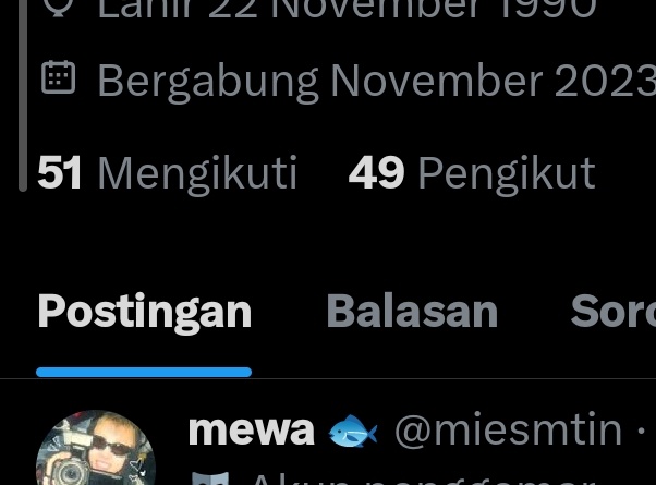 mewa 🐟 tweet media
