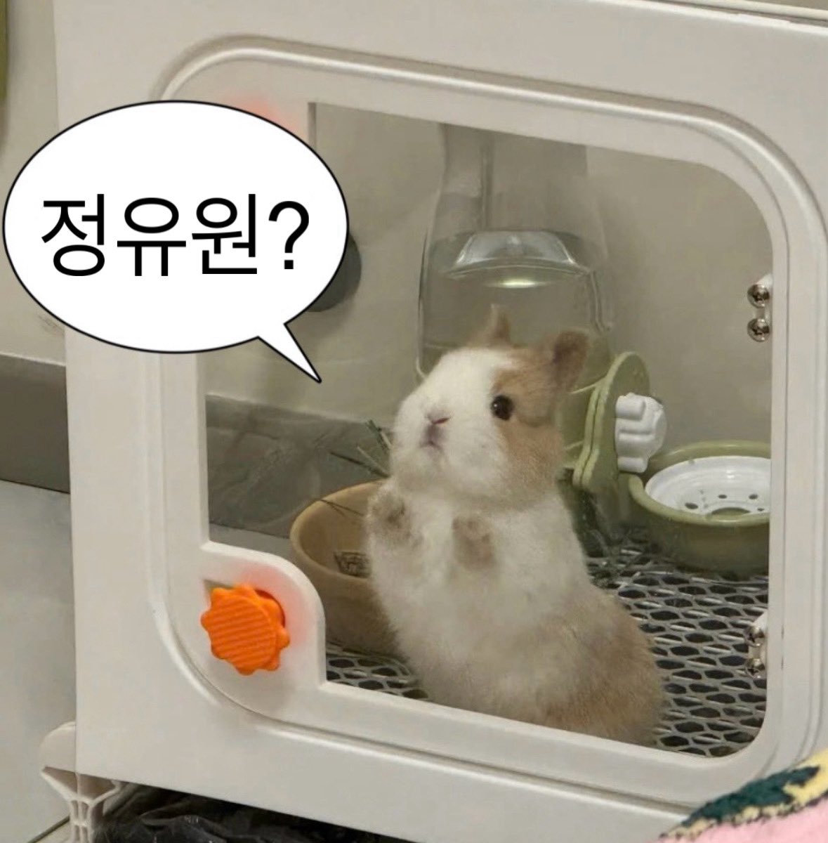 이걸왜안봐 tweet media