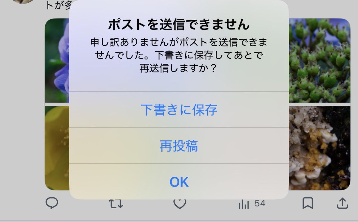 イーロンのプライベートジェットの離着陸（情報自体は公開情報）を追う 