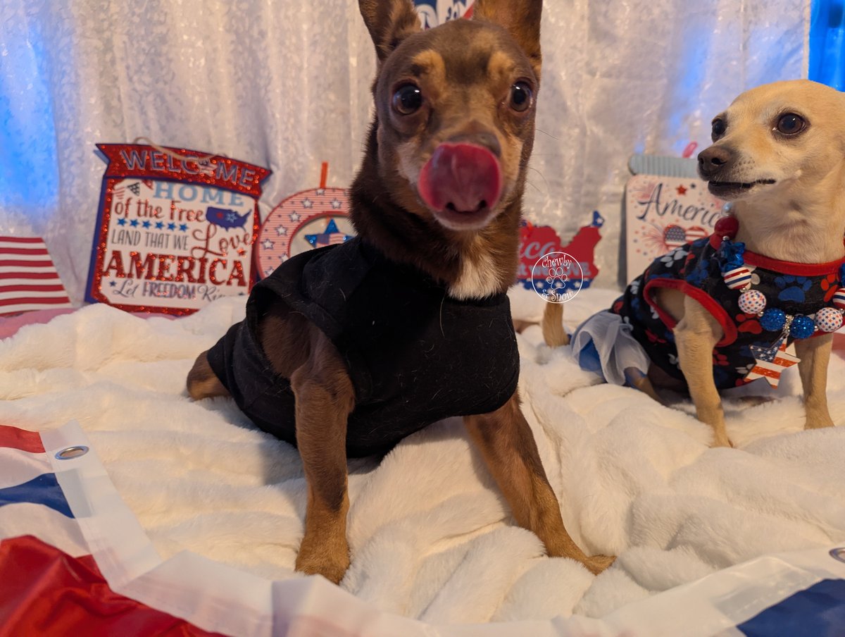 ❤️🏍️Chewby & Snow White🛵❤️ tweet media