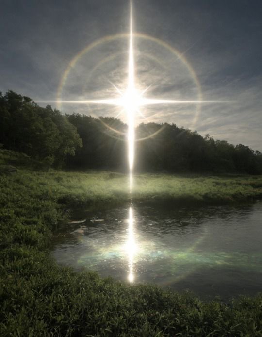 _Naturaee's tweet photo. wonders of nature https://t.co/8U1BW6evDu