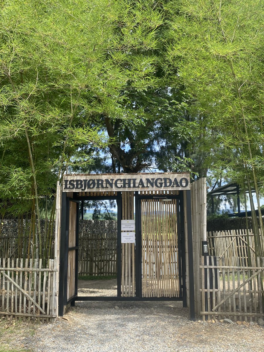 Jai2u's tweet photo. เที่ยวเชียงดาว วันธรรมดา ในฤดูฝน = ไม่มีคนเลย สวยยย + ร้อนนน 😆 #reviewchiangmai #chiangdao https://t.co/Px37yLgwqv