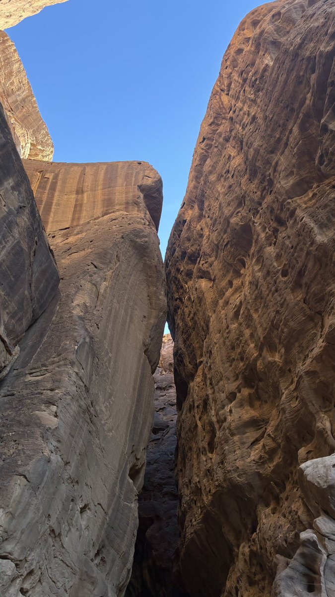 j4dkn's tweet photo. 📸⛰️☀️ https://t.co/Z6aL8xPED6