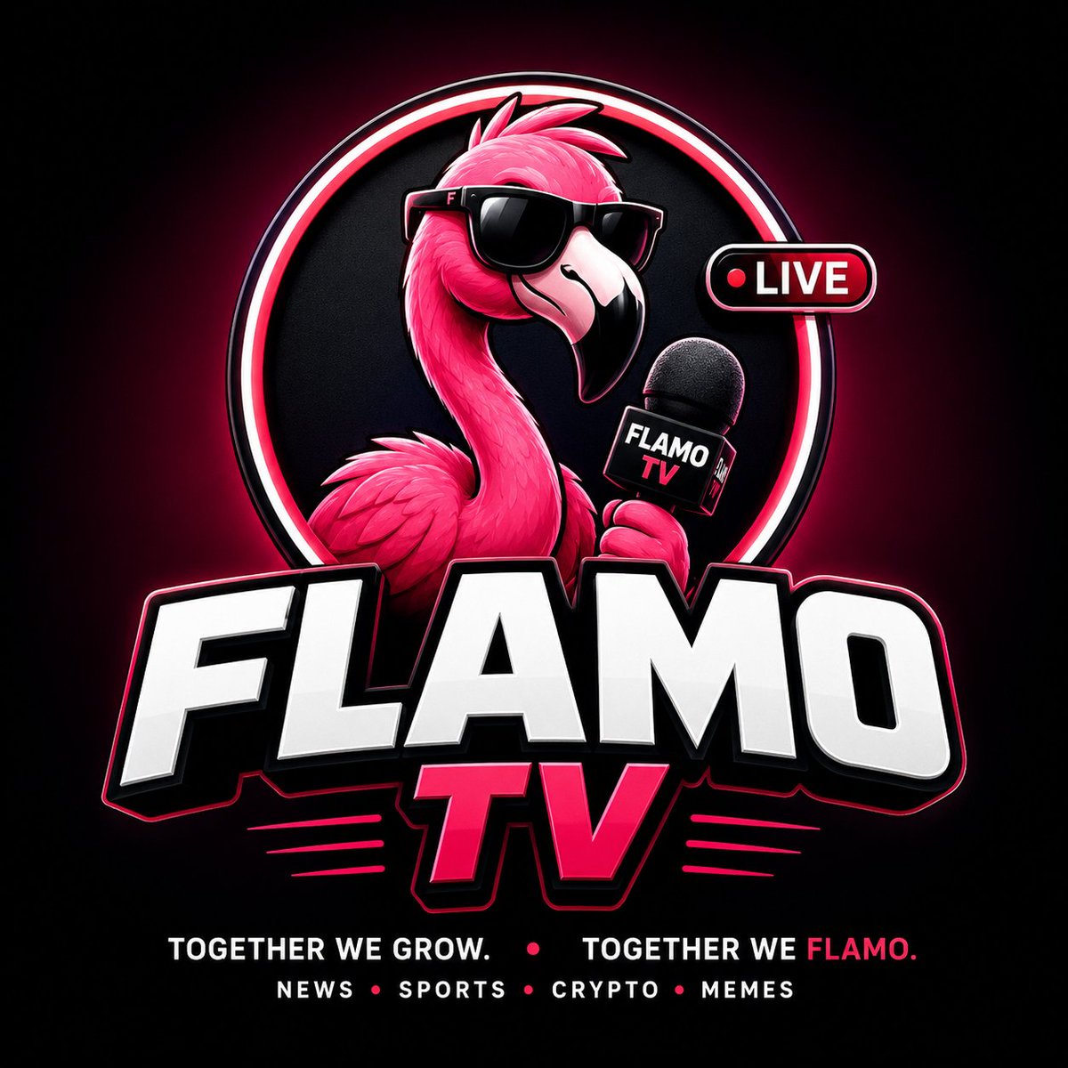 FLAMO Official 🦩 tweet media