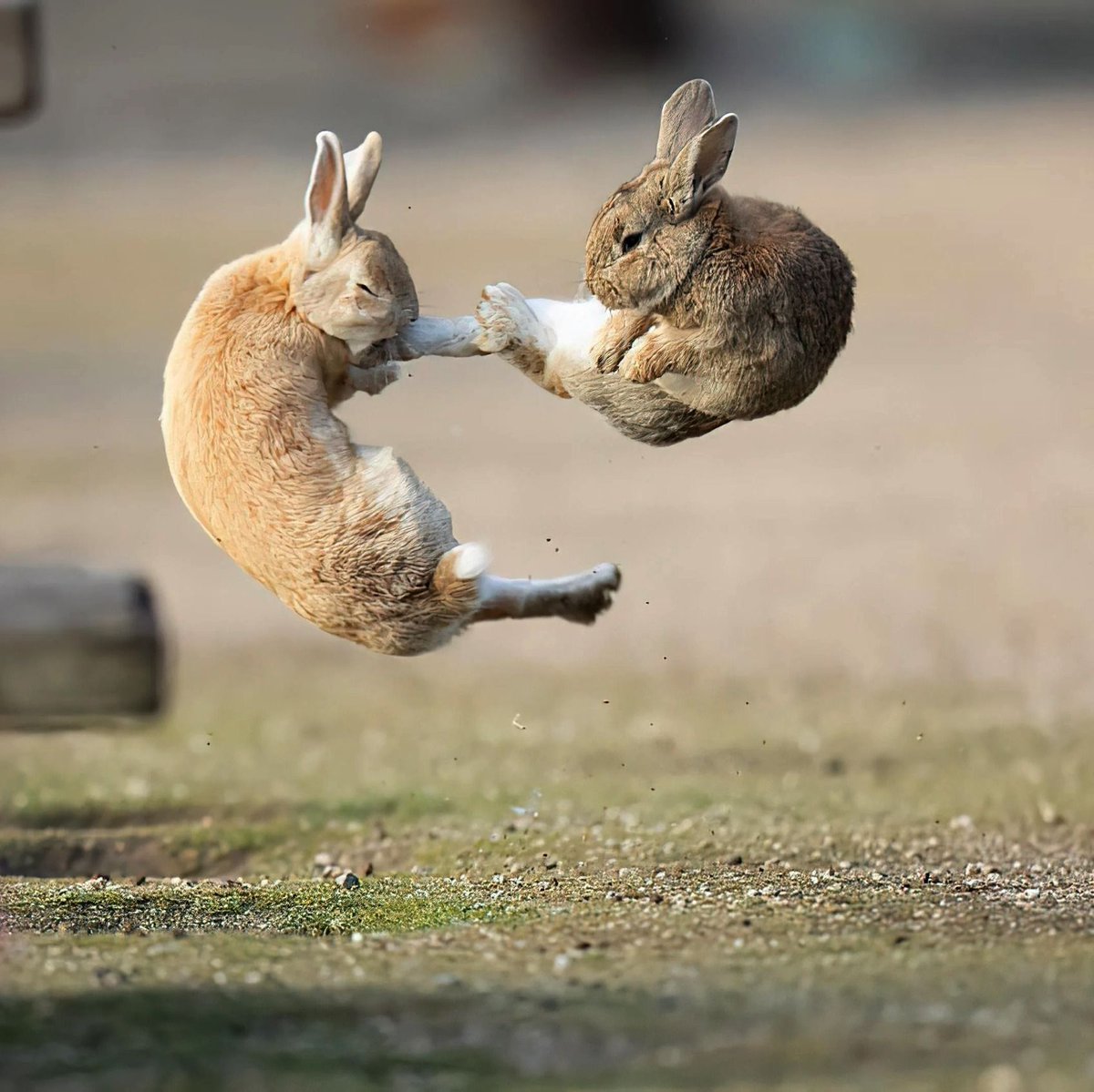 MadDuck68317982's tweet photo. Everybody, I mean everybody was Kung Fu fighting.... https://t.co/iDudwRhLcD